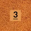 1/16" Orange Micro IDENT Refill 500PCS - 0625-ORANGE-500
